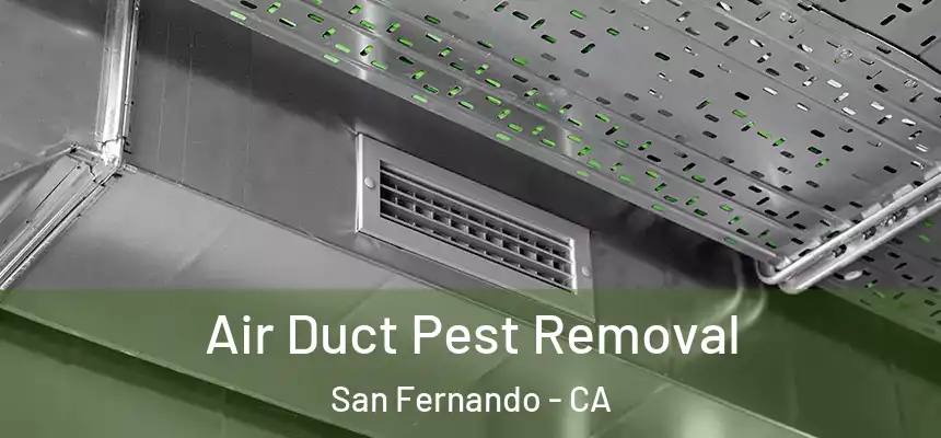Air Duct Pest Removal San Fernando - CA
