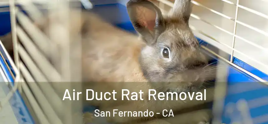 Air Duct Rat Removal San Fernando - CA