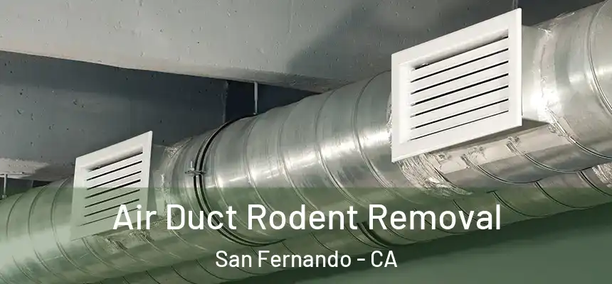 Air Duct Rodent Removal San Fernando - CA