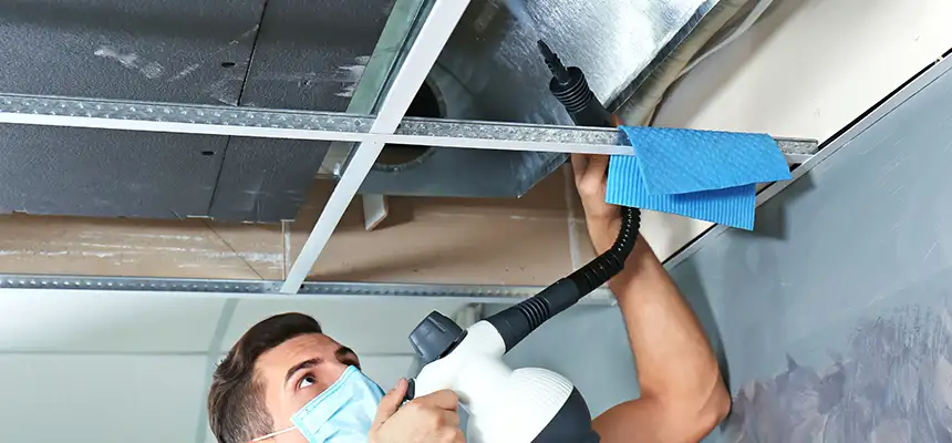 Our Air Duct Rodent Removal Services in San Fernando, CA