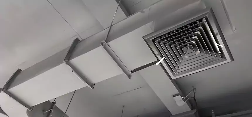 Restorative Allergy Relief Vent Cleaning – Coil, Blower & Housing Detail in San Fernando