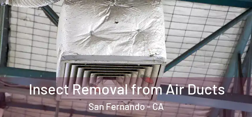  Insect Removal from Air Ducts San Fernando - CA