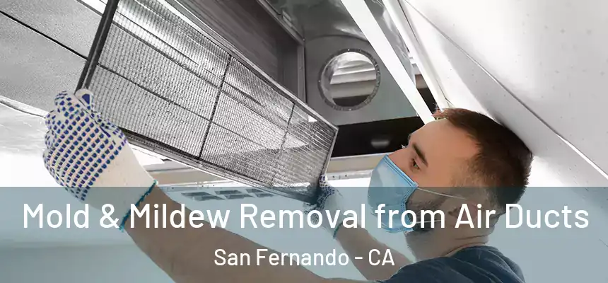 Mold & Mildew Removal from Air Ducts San Fernando - CA