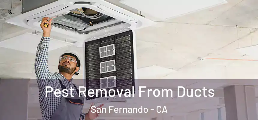  Pest Removal From Ducts San Fernando - CA
