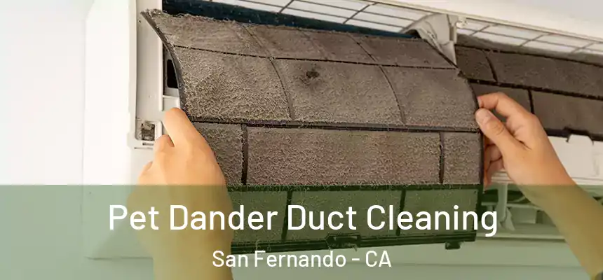Pet Dander Duct Cleaning San Fernando - CA