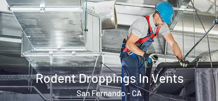  Rodent Droppings In Vents San Fernando - CA