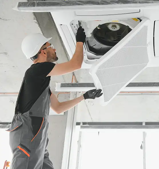 About Air Duct Rodent Removal in San Fernando, CA