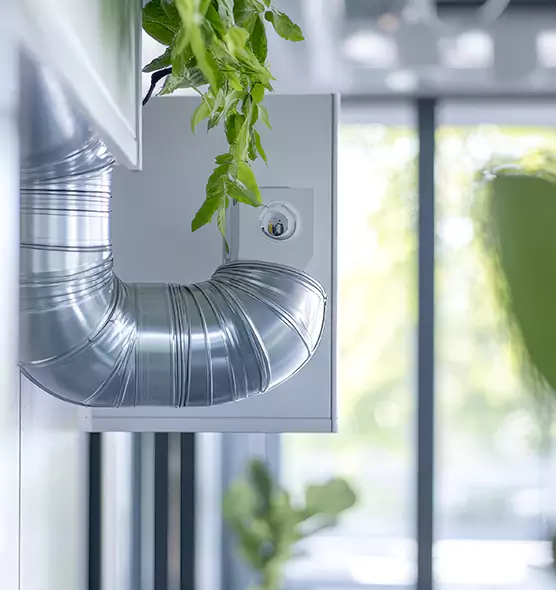 Professional Eco-Friendly Duct Cleaning Services in San Fernando, CA