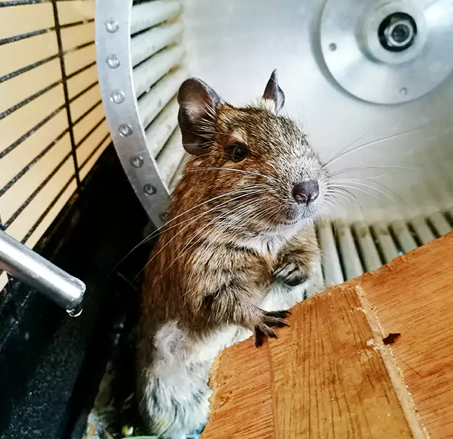 Why Homeowners & Businesses Trust Us San Fernando, CA