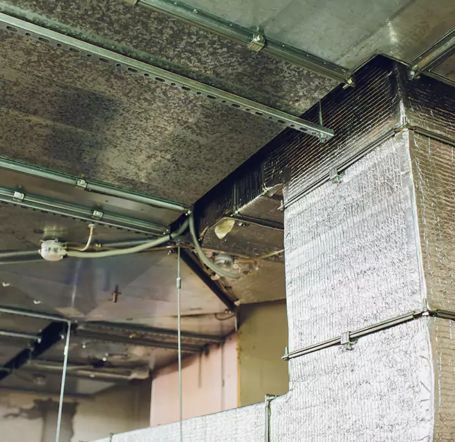 Why Homeowners & Businesses Trust Us in San Fernando, CA?